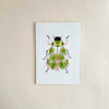 Beetle #24 5x7 Art Print