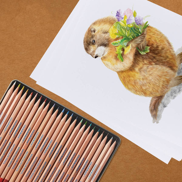 Watercolor Pencil Set