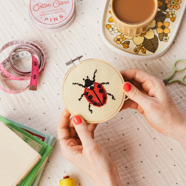 Ladybird Ladybug Cross Stitch Kit for Beginners