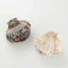 Calacatta Seashell Claw Clip - Small