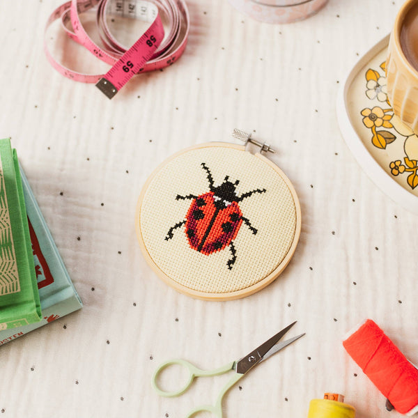 Ladybird Ladybug Cross Stitch Kit for Beginners