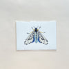 Moth #6 5x7 Art Print