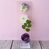 Pressed floral bookmark in a stand against a pink wall.