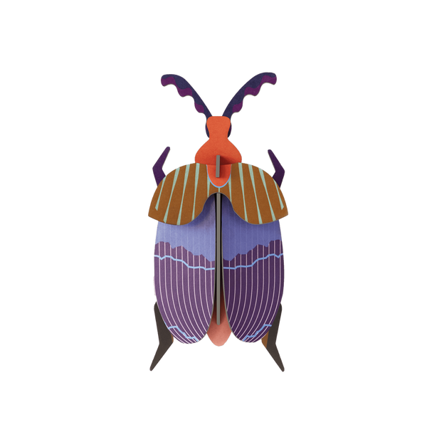 Colorful beetle paper wall art on transparent background.