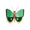 Paper wall art butterfly with green wings on a transparent background.
