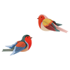 Two colorful birds on a transparent background