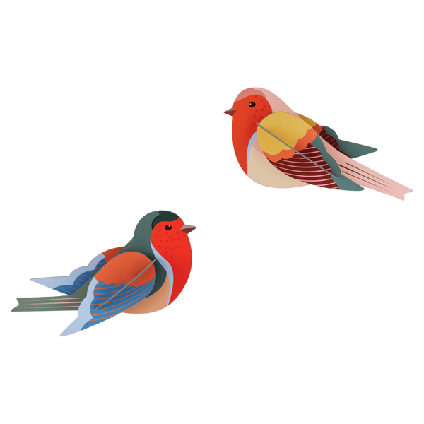 Two colorful birds on a transparent background
