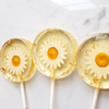 Three lollipops with daisy flowers embedded in them on a white background