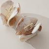 Top view of hinges on neutral marbled sand dollar shaped hair claw against a white background.