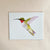 Broad Tail Hummingbird 8x10 Art Print