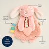 Pink plush toy with features labeled on a beige background