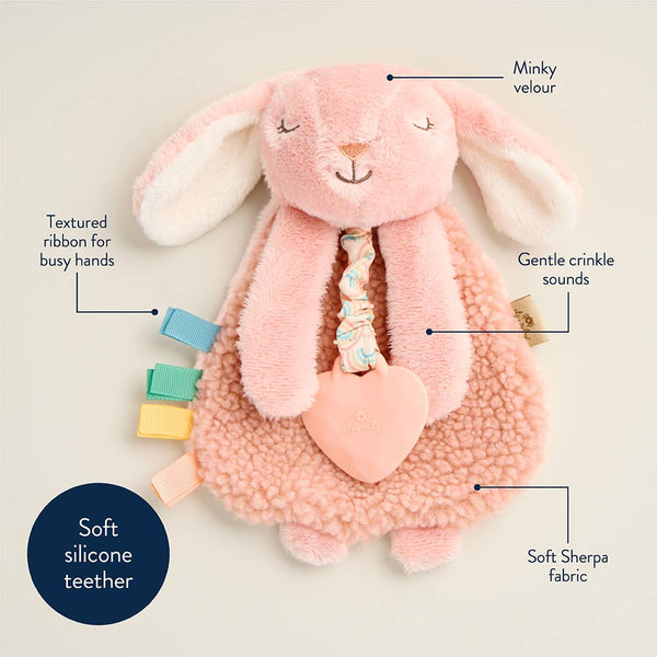 Pink plush toy with features labeled on a beige background