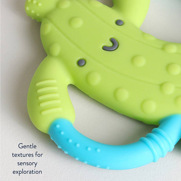 Green and blue pickle shaped teething toy with text 'Gentle textures for sensory exploration' on a light background