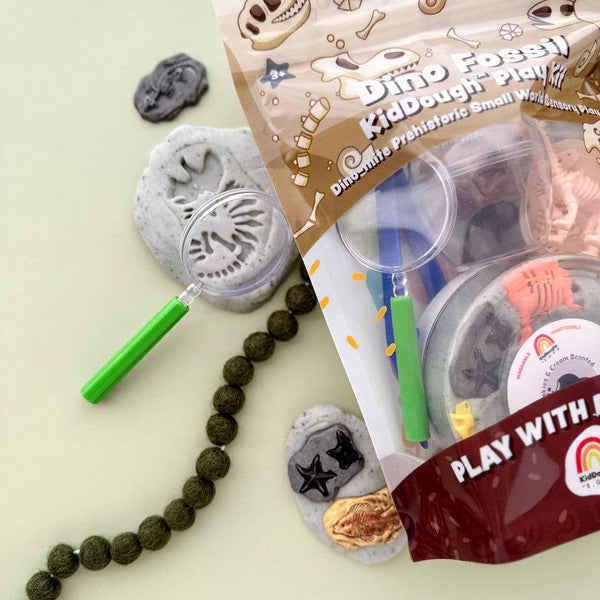 Dino Fossil play set with packaging on a light green background