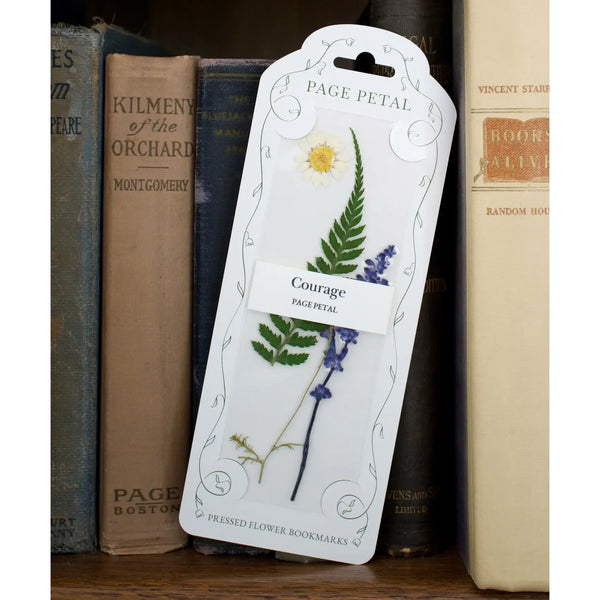 A pressed flower bookmark from Page Petal, featuring a white packaging holding the bookmark with pressed green ferns, purple flowers, and a yellow daisy, displayed leaning against a row of vintage books. 