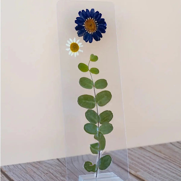 A clear bookmark containing a pressed green eucalyptus stem with a blue daisy and a small white daisy at the top, displayed on a wooden surface against a plain beige wall.