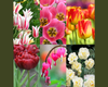 Fresh Flower Bouquet (PRE-SALE PICK UP ONLY)