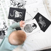 Baby interacting with animal-themed cards on a patterned surface