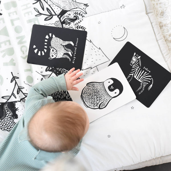 Baby interacting with animal-themed cards on a patterned surface