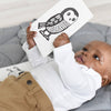 Baby holding a card with an owl illustration on a gray surface