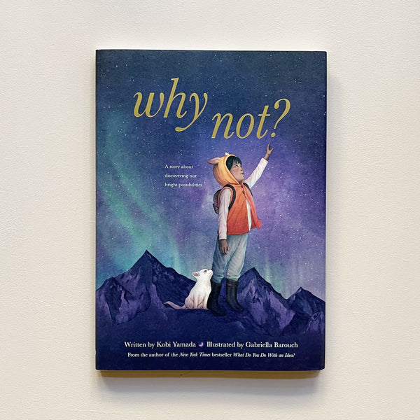 An illustrated children's book called "Why Not?" with the image of a child and a white dog standing in the mountains against the aurora borealis, reaching toward the sky. The book sits against a neutral backdrop.