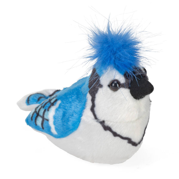 A small blue jay plush toy against a white background.